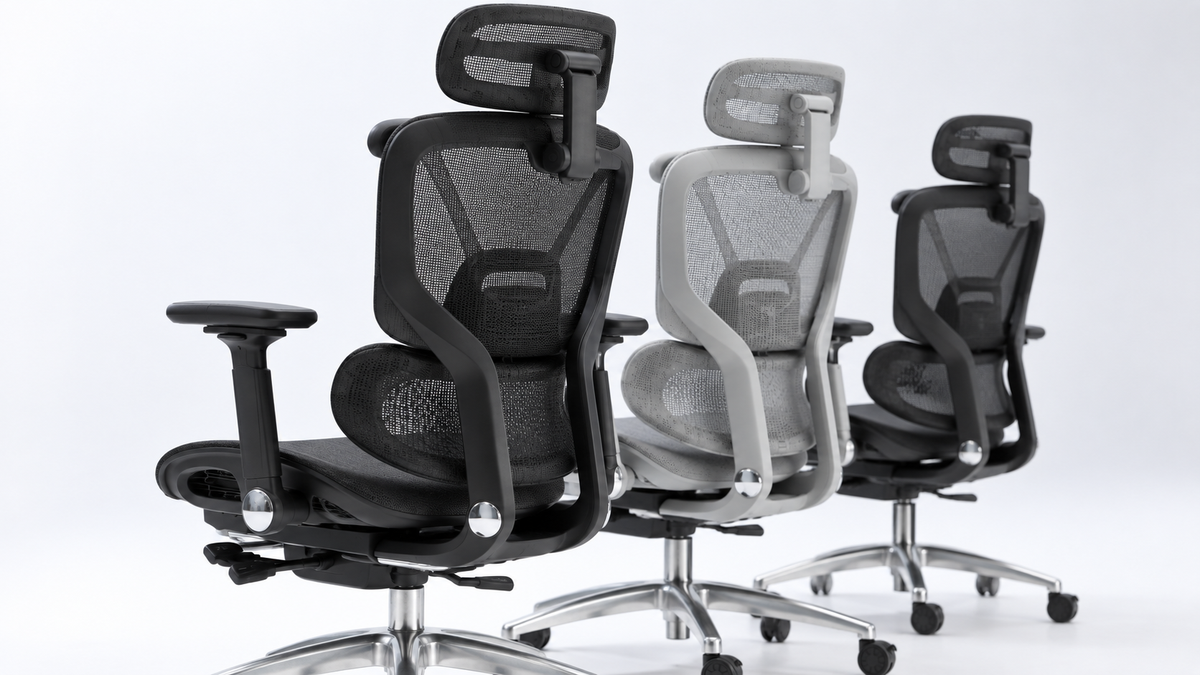 Ergonomía Esencial